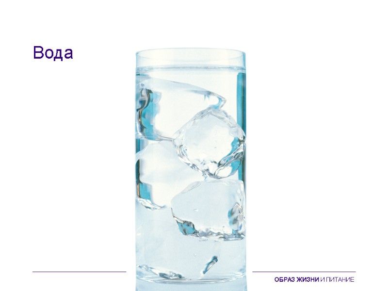 Вода ОБРАЗ ЖИЗНИ И ПИТАНИЕ